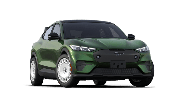 Mustang Mach-E® vehicle